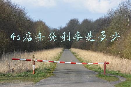 4s店车贷利率是多少