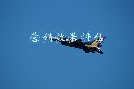 营销效果评估