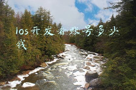 ios开发者账号多少钱
