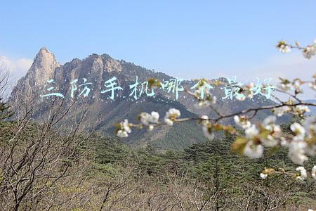 三防手机什么牌子的好(1.5米摔不烂水浸不坏的三防手机，热成像夜视，关键时刻能保命)