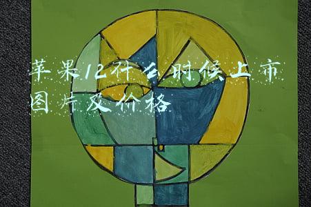 苹果12什么时候上市图片及价格官网(iPhone用户尝试安卓的第一选择，小米12系列今晚8点开售3699元起)