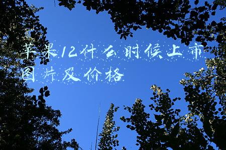 苹果12什么时候上市图片及价格颜色(3299元起！红米K50电竞版正式发布，性能天花板来了)