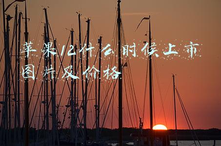 苹果12什么时候上市图片及价格最新消息(下月见！苹果春季发布会曝光：A15的iPhone才仅售2000元？)