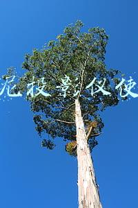 索尼投影仪使用