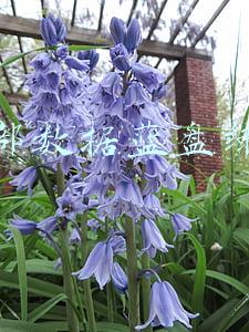 西部数据蓝盘绿盘黑盘红盘紫盘(黑盘、绿盘是什么鬼？带你一文玩转西部数据)