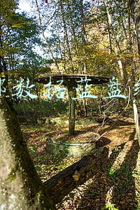 西部数据蓝盘绿盘