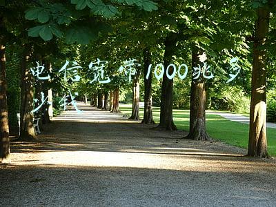 100兆的电信宽带多少钱(100兆和200兆宽带有什么区别？为什么我们家的宽带跑不满？)