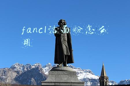 fancl洁面粉怎么用