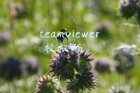 teamviewer 授权码