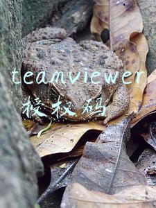 teamview注册(teamviewer怎么使用 teamviewer使用方法步骤)
