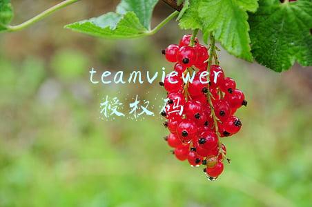 teamviewer取消授权(个人用户又被Teamviewer “误杀”，网友纷纷开喷弃用)