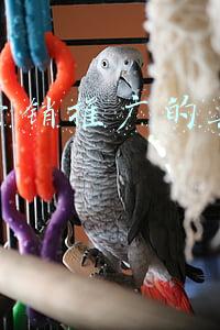 网络营销和推广的方法(十大网络营销策略)