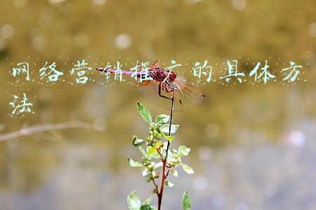网络营销推广(网络营销有哪些方法)