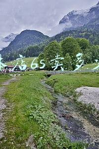 荣耀50实体店卖多少钱；荣耀20实体店卖多少钱
