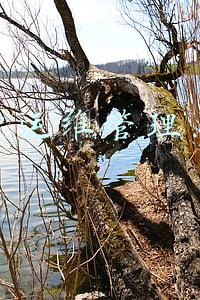 信息系统运维管理(山丹县委组织部多举措强化公务员信息系统维护管理)