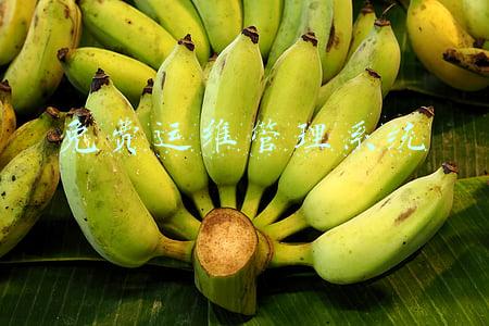 免费运维管理系统