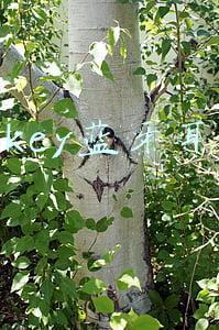 aukey蓝牙耳机是什么牌子(采用瑞昱RTL8753B蓝牙音频SoC，AUKEY KeySeries T10真无线耳机拆解)