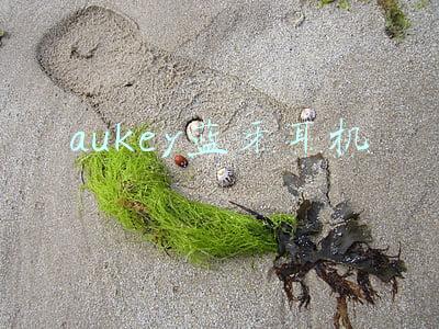 AUKEY蓝牙耳机(699元的真无线耳机贵吗？AUKEY T10：比你们颜值高，体验更佳)