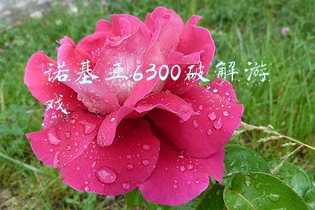 诺基亚6300破解游戏