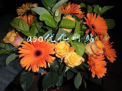 aso优化的主要内容(浅谈Google Play ASO 优化)