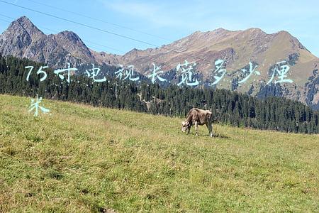75寸电视长宽多少厘米怎么算(同是75吋电视，3千块和1万块90%的人看不出区别)