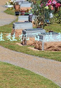 夹娃娃机百胜秘诀