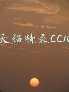 天猫精灵CC10
