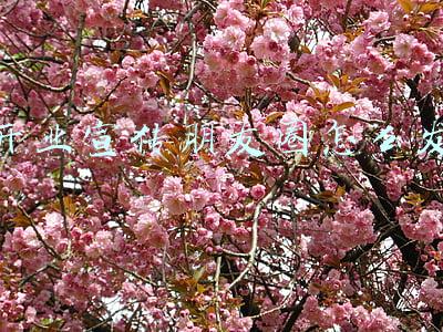 开业宣传朋友圈怎么发文字(新店开张活动文案 开业朋友圈宣传广告模板)