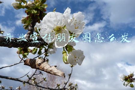 年后开业宣传朋友圈怎么发(2022年新年开工吉祥话大全)