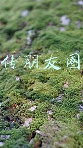 新年开业宣传朋友圈怎么发(「开张寄语」写在辞旧迎新的时刻)