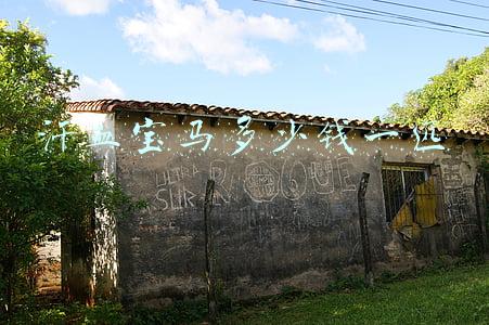 汗血宝马多少钱一匹