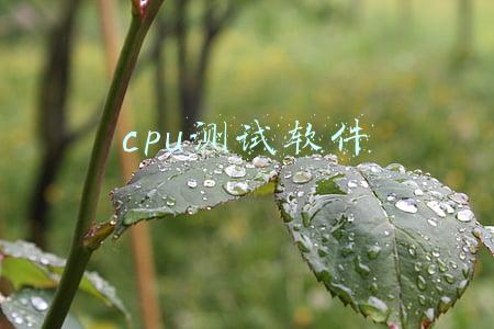 CPU测试软件鲁大师的关键(「逼格晋级篇」常用的正经CPU测试软件有哪些)