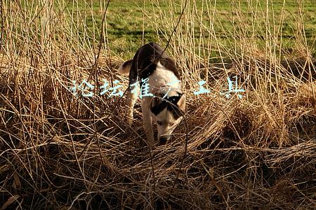 淘宝卖家推广论坛(犀牛说：淘宝获取站外流量攻略之论坛推广)