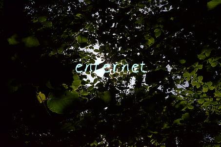 enternete com(Kubeadm 超详细安装 Kubernetes 1.13)