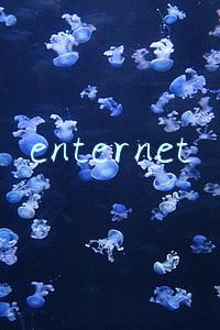 enternet explore下载(2021年陆奇眼中的未来：“元宇宙”、“智能汽车”与中国新经济时代的主旋律)