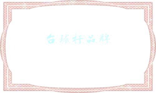 台球杆品牌