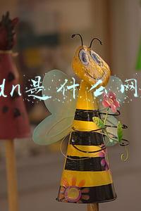 csdn是什么网站