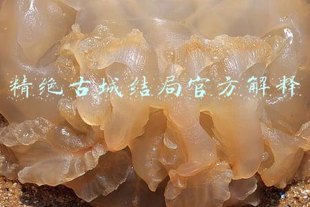 精绝古城结尾怎么回事(精绝古城完结，考古队结局为何跟原作不同，诡异又吓人)