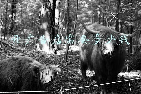 一个广告店一年能挣多少（开个广告店一年能赚多少钱）