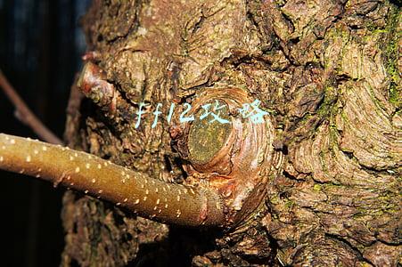 ff12图文攻略(《最终幻想12 黄道纪元》《最终幻想12》老司机的一周目通关指南)