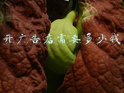 广告店一年能赚多少钱(开个广告店一年能赚多少钱)