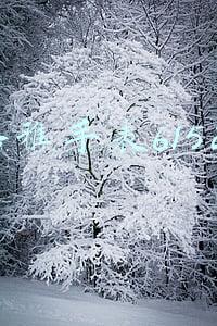 格雅手表是什么档次(你不知道的格雅表)