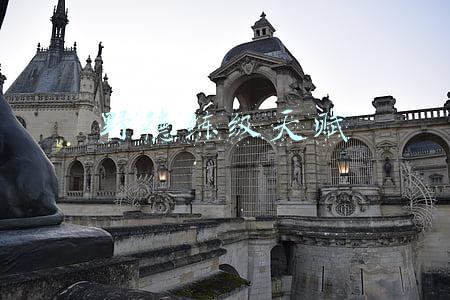 野德练级天赋 野德练级天赋