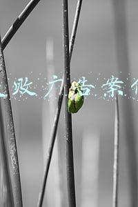 失败广告案例