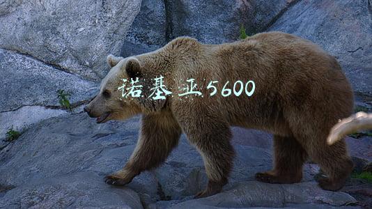 诺基亚5600c视频(美国5G机场布网“卡壳”全球5G落地仍面临多重挑战)