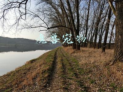 魔兽宠物防御战攻略(《梦幻西游》宠物特殊技能解析！壁垒击破的养成与使用)