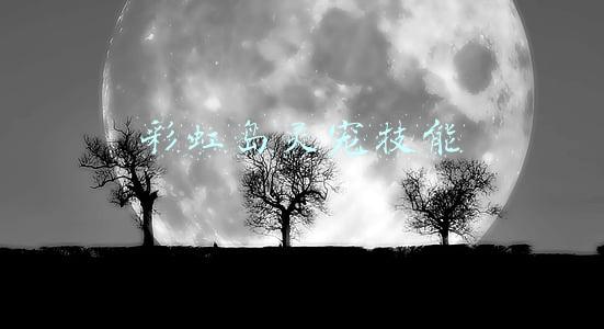 彩虹岛灵宠技能书大全(“不敢声张”的宠物殡葬业：选址是开店常遇的难题)