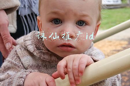 诛仙推广id在哪看怎样复制粘贴(内地10位顶级武术指导：甄子丹师傅上榜，还有一位是吴京的师兄)