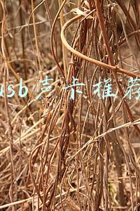 usb声卡无适配驱动(win10系统声卡驱动故障，没有声音怎么办？)