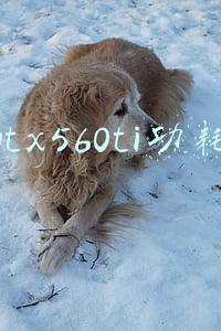 gtx560ti功耗